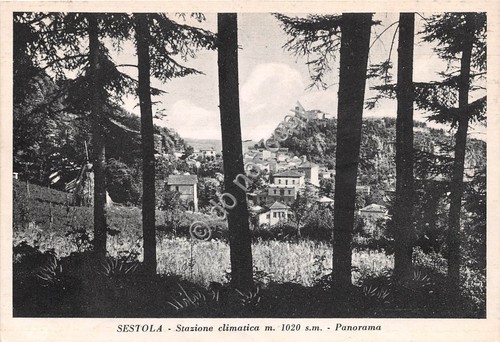 Cartolina - Sestola Panorama 1959
