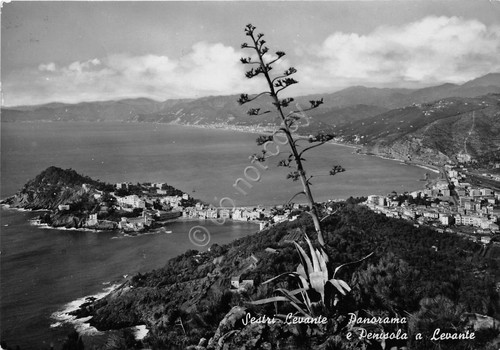 Cartolina - Sestri Levante - Panorama - Penisola a Levante …