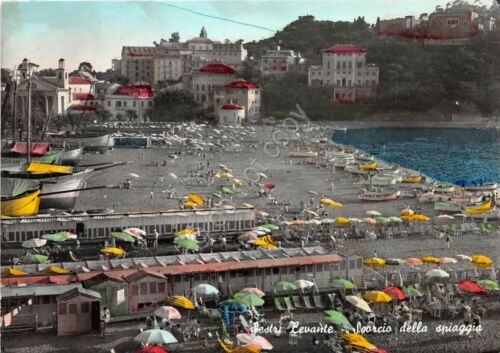 Cartolina - Sestri Levante - scorcio della spiaggia animata 1953