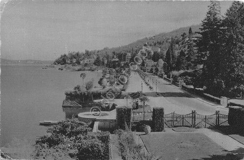 Cartolina - Stresa - Lungo lago - 1951