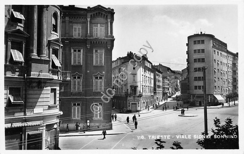 Cartolina - Trieste Viale Sonnino animata