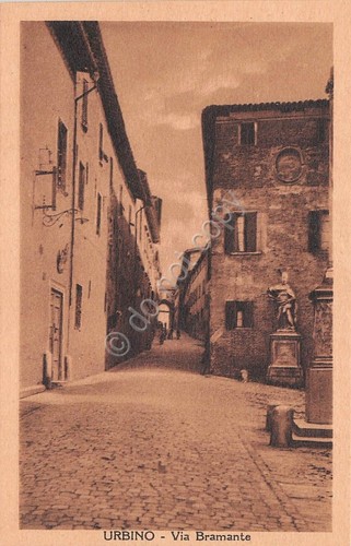 Cartolina - Urbino - Via Bramante - NVG