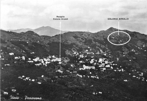 Cartolina - Uscio - Panorama - 1960