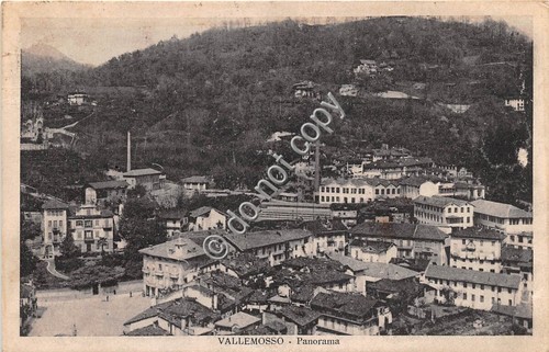 Cartolina - Vallemosso Panorama 1933