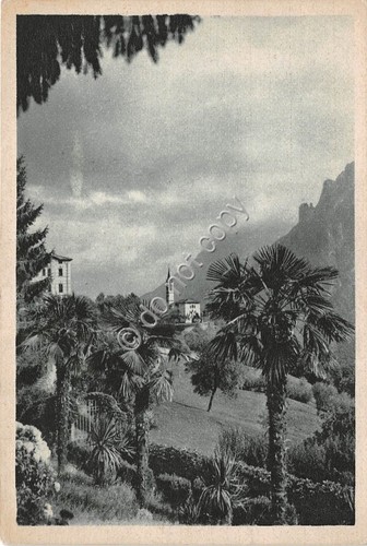 Cartolina - Vendrogno Madonnina e Grigna 1951