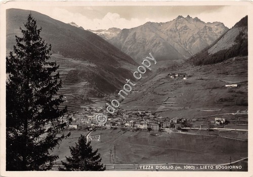 Cartolina - Vezza D' Oglio panorama 1949
