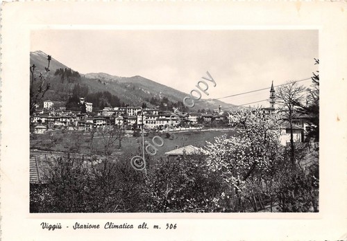Cartolina - Viggiù panorama 1954