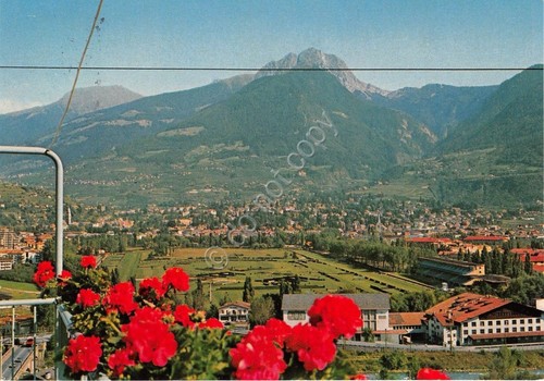 Cartolina- Merano - Panorama - Ippodromo- Timbro centenario Banco di …