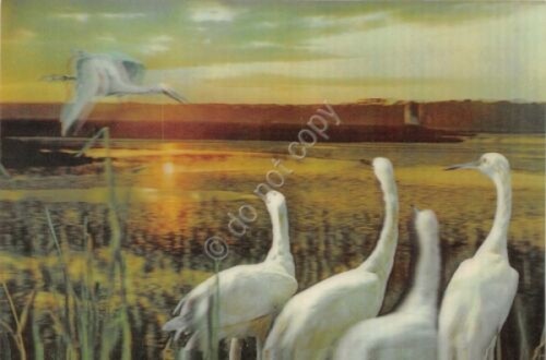 Cartolina 3D Lenticular plastificata Aironi 1971