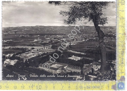 Cartolina Acqui Terme Panorama Antiche Terme 1953 (Alessandria)