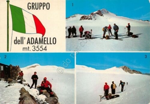 Cartolina Adamello Gruppo vedute sci sciatori scalatori (Trento)