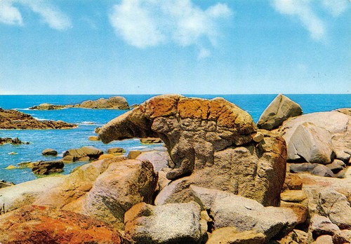 Cartolina Aglientu Parco di Porto Bello di Gallura (Sassari)