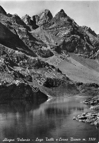 Cartolina Alagna Valsesia - Lago Tailli - 1956 (Vercelli)