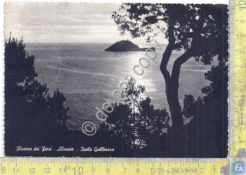 Cartolina Alassio Isola Gallinara 1952 (Savona)