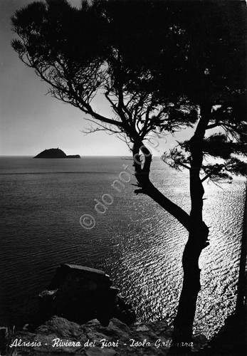 Cartolina Alassio Isola Gallinara anni '50 (Savona)