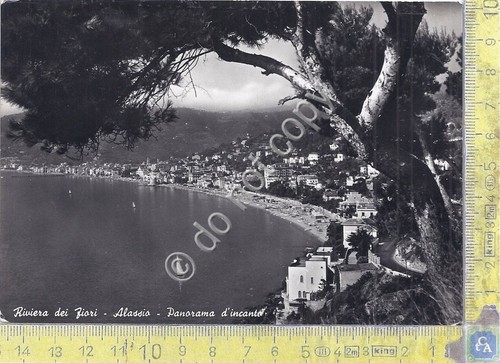 Cartolina Alassio Panorama 1953 (Savona)
