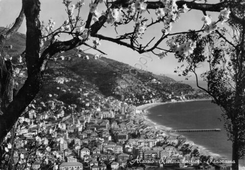 Cartolina Alassio panorama dall'alto con fiori di pesco 1951