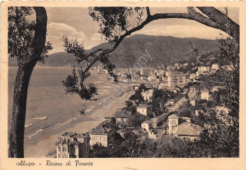 Cartolina Alassio Panorama dall'alto Ed. Brunner (Savona)