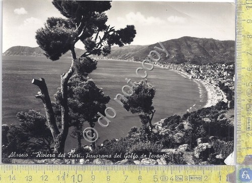 Cartolina Alassio Panorama del Golfo da Levante 1953 (Savona)