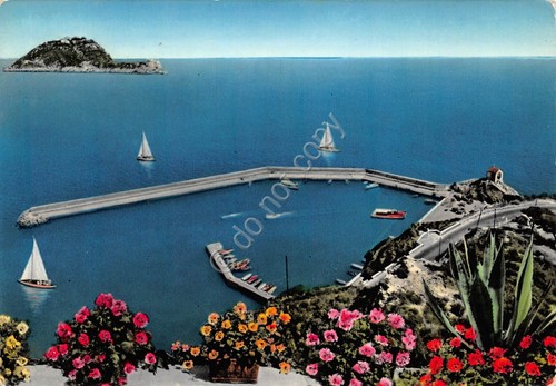 Cartolina Alassio Porticciolo dall'alto Isola Gallinara 1958 (Savona)