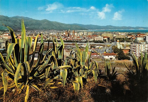 Cartolina Albenga panorama da ponente 1971 (Savona)