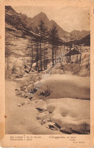 Cartolina Alberi con neve - poesia Ada Negri - 1932