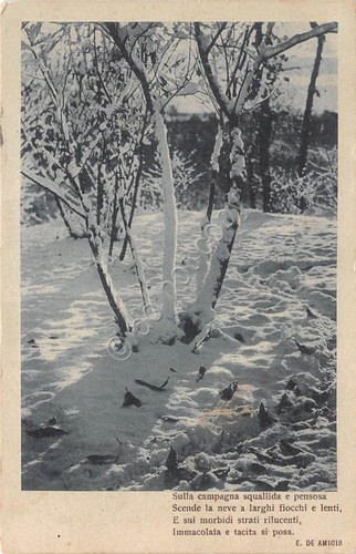 Cartolina Alberi con neve poesia De Amicis 1910 circa