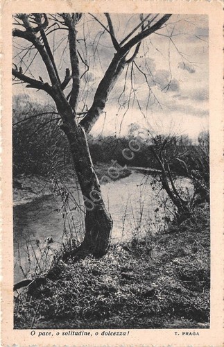 Cartolina alberi e ruscello poesia T. Praga 1940 (Altre cartoline)