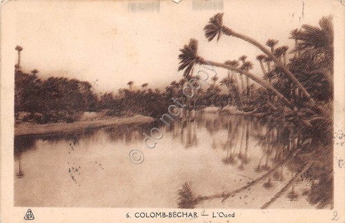 Cartolina Algeria Colomb Bechar Oued