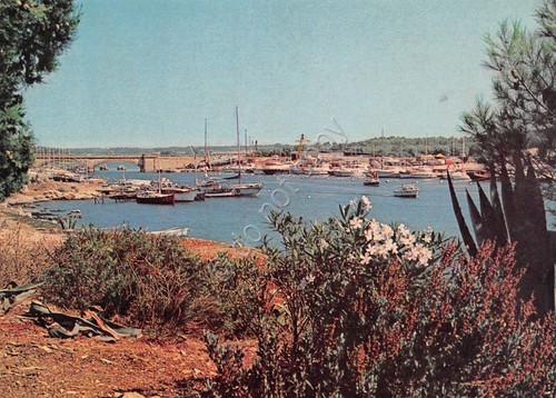 Cartolina Alghero Fertilia Porticciolo