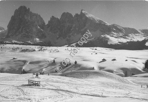 Cartolina Alpe di Siusi Gruppo del Sassolungo 1960 (Bolzano)