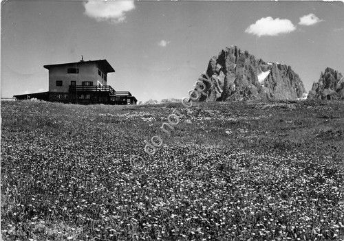 Cartolina Alpe di Siusi Rifugio Icaro 1958 Foto Ghedina