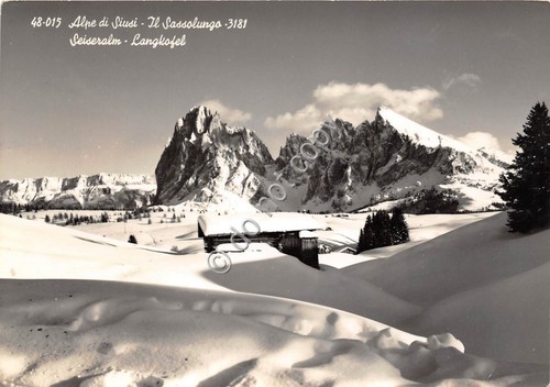 Cartolina Alpe di Siusi Sassolungo 1956 (Bolzano)
