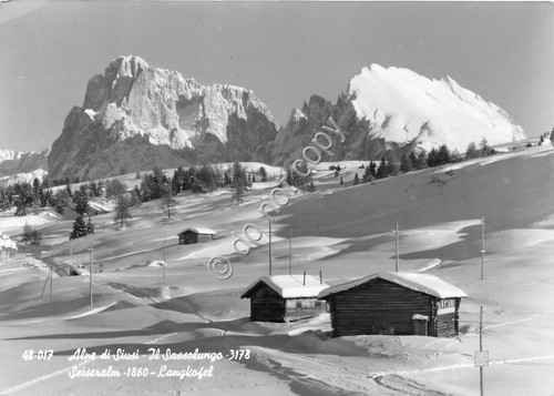 Cartolina Alpe di Siusi Sassolungo 1964 (Bolzano)