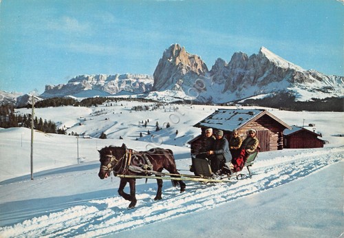 Cartolina Alpe di Siusi Sassolungo 1988 slitta con cavallo animata …