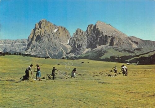 Cartolina Alpe di Siusi verso Sassolungo contadini al lavoro 1970