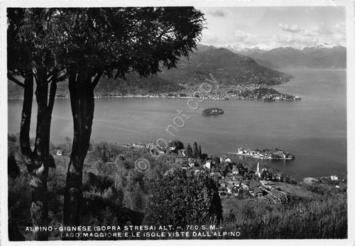 Cartolina Alpino Gignese sopra Stresa Lago Maggiore e isole da …