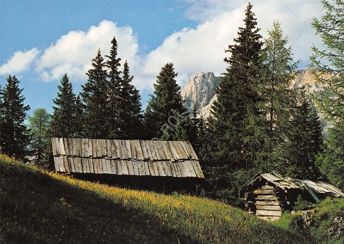 Cartolina Alta Badia capanni alberi montagne 2005
