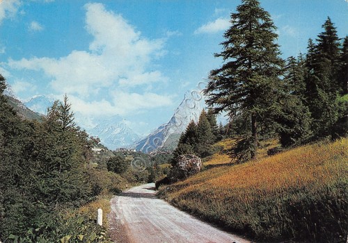 Cartolina Alta Val Maira Chiappera Rocca Provenzale strada