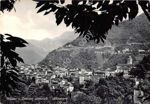 Cartolina Altagnana Massa Panorama anni '50