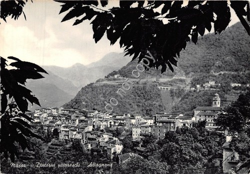 Cartolina Altagnana Massa Panorama anni '50