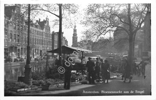 Cartolina Amsterdam Bloemenmarkt ann de Singel 1954