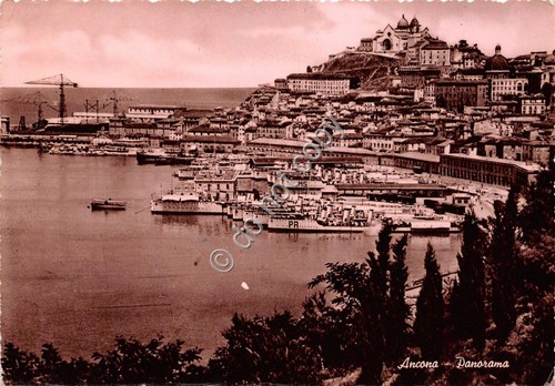 Cartolina Ancona Panorama 1950