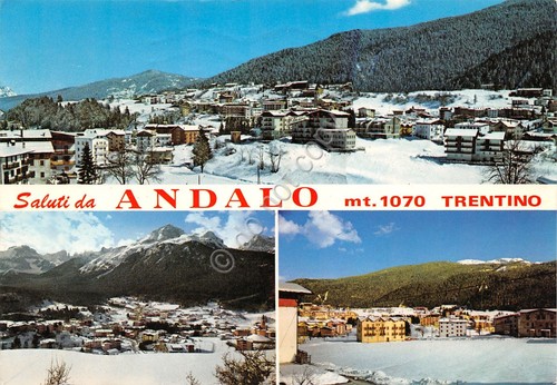 Cartolina Andalo vedute varie 1987 (Trento)