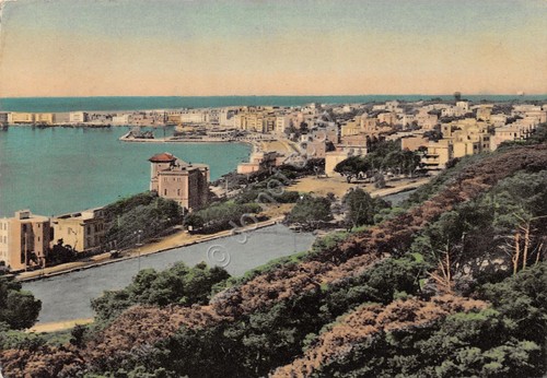 Cartolina Anzio Viale Mencacci 1966