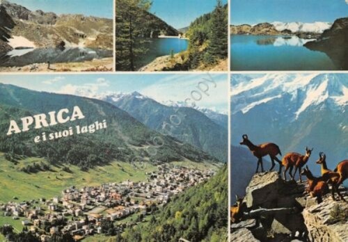 Cartolina Aprica e i suoi laghi vedute 1983 (Sondrio)
