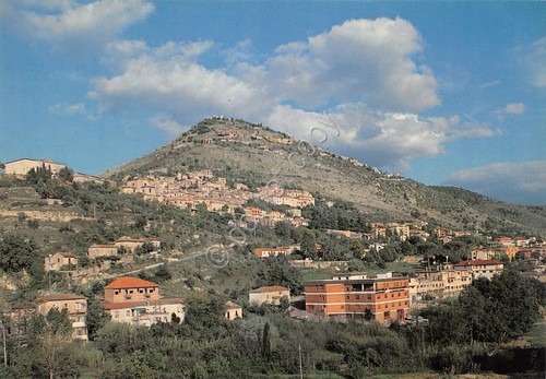 Cartolina Arce Panorama con case anni '70