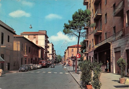 Cartolina Arezzo Via Vittorio Veneto VG