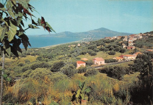 Cartolina Ascea Panorama case e marre anni '80