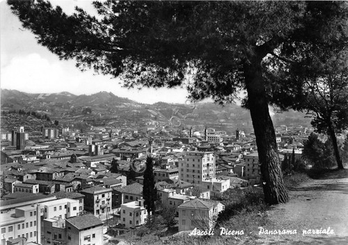 Cartolina Ascoli Piceno Panorama NVG 1957